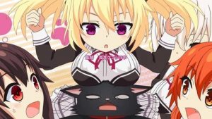 Nora to Oujo to Noraneko Heart Episodio 11