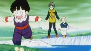 Dragon Ball Z Episodio 43
