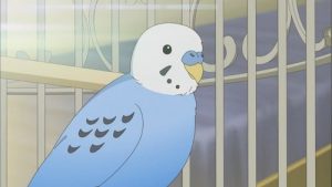 Chuubyou Gekihatsu Boy Episodio 2