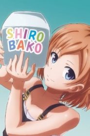 Shirobako 1 Temporada Online