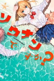 Sounan desu ka? 1 Temporada Online