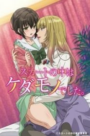 Skirt No Naka Wa Kedamono Deshita 1 Temporada Online