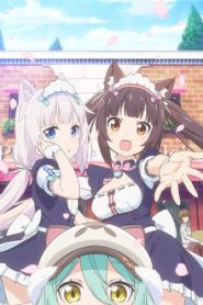Nekopara 1 Temporada Online