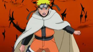 Naruto Shippuden Episodio 213