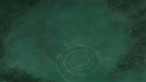 Naruto Shippuden Episodio 231
