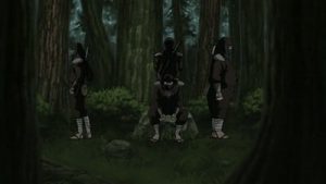 Naruto Shippuden Episodio 233