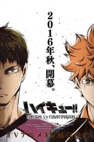 Haikyuu!! 3 Temporada Online