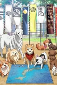Oda Cinnamon Nobunaga 1 Temporada Online