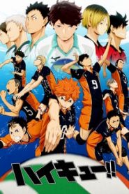 Haikyuu!! 1 Temporada Online