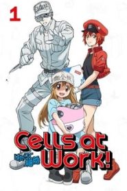 Hataraku Saibou 1 Temporada Online