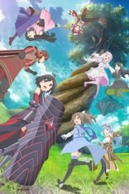 Itai no wa Iya nano de Bougyoryoku ni Kyokufuri Shitai to Omoimasu. 1 Temporada Online