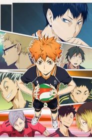 Haikyuu!! 2 Temporada Online
