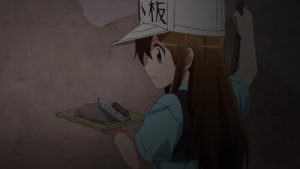 Hataraku Saibou Episodio 8
