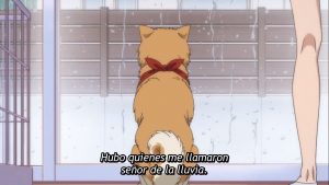 Oda Cinnamon Nobunaga Episodio 4