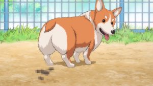 Oda Cinnamon Nobunaga Episodio 6