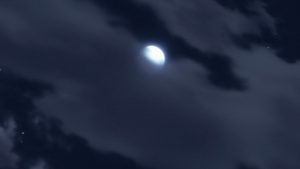 Naruto Shippuden Episodio 492