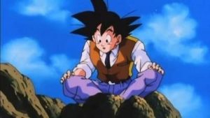 Dragon Ball Z Episodio 288