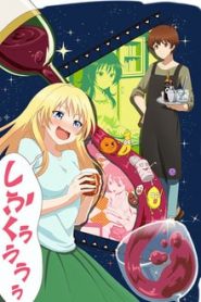 Osake wa Fuufu ni Natte Kara 1 Temporada Online