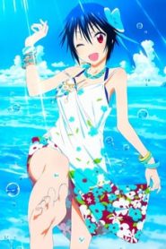 Nisekoi 2 Temporada Online
