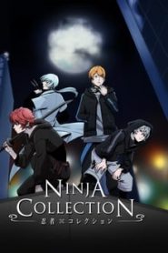 Ninja Collection 1 Temporada Online