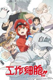 Hataraku Saibou 2 Temporada Online