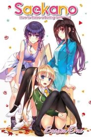 Saenai Heroine no Sodatekata 1 Temporada Online