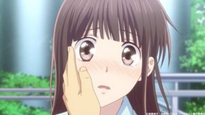 Fruits Basket: The Final Episodio 11