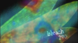 Bleach Episodio 290