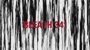 Bleach Episodio 341
