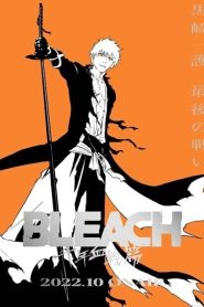 Bleach 2 Temporada Online