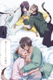 Mori no Kuma-san, Toumin-chuu. 1 Temporada Online