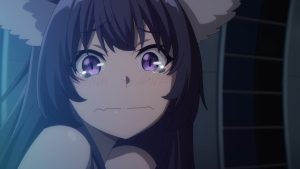 Kage no Jitsuryokusha ni Naritakute! Episodio 13