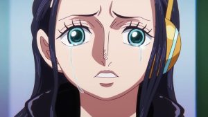 One Piece Episodio 1096