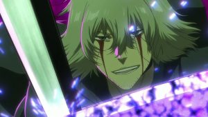 Bleach: Sennen Kessen-hen – Kashin-tan Episodio 2