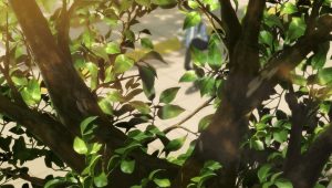 Toumei na Yoru ni Kakeru Kimi to, Me ni Mienai Koi wo Shita. Episodio 12